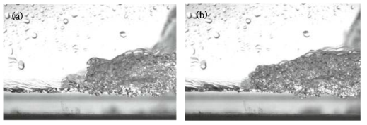 BIV측정기법을 적용한 순간이미지 (Lin et al., 2012)