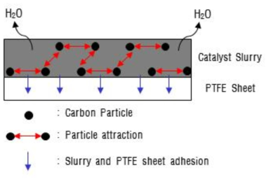 Carbon 전극 건조과정에서 발생되는 힘(force)의 방향성 모식도