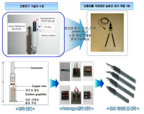 실용성 센서 개발 모식도