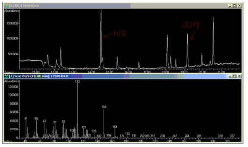 PCS-GCMS에 의한 지오스민 분석 결과. 10 ppb 수준, Scan 모드