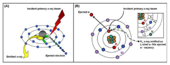 X선 형광(XRF) 기본 과정의 도식(A), 칼슘 원자의 전자 전이를 설명하는 보어 원자 모델(B)