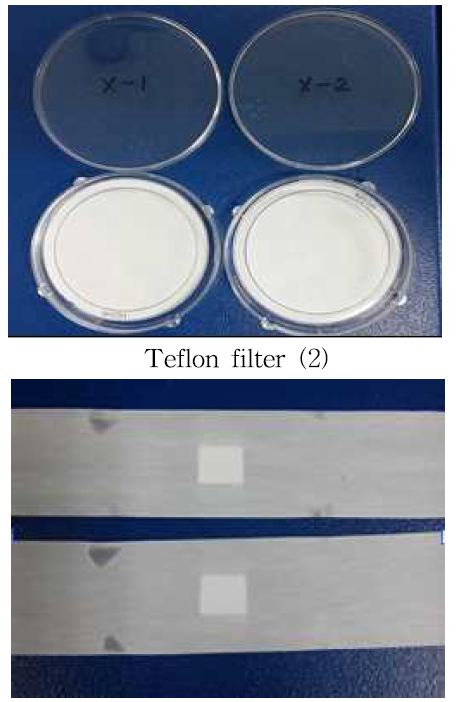 Teflon filter (1)