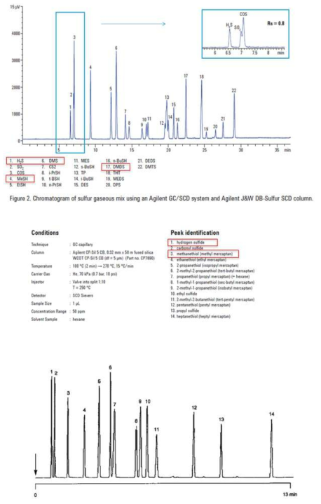 DB-Sulfur (위) / CP-sil 5CB (아래)를 이용한 크로마토그램 분석결과
