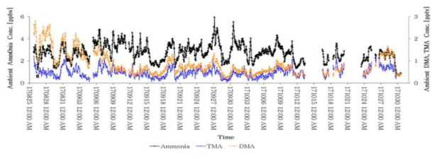 대기 중 NH3와 TMA, DMA 의 농도 변동 비교