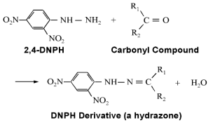 DNPH 유도체 반응식