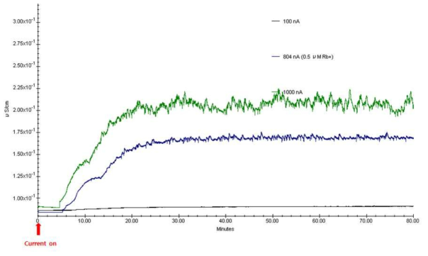 전류의 세기에 따른 바탕전도도(검정 : 100 nA, 파랑 : 804 nA, 초록 : 1000 nA)
