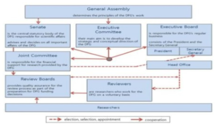 DFG 조직 체계도