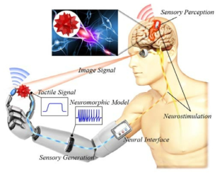 센서 및 뇌신경 인터페이스를 융합한 시·촉각 기반 인체감각 대체기기 개념도(출처: ETRI, ICT 미래원천 기획보고서)
