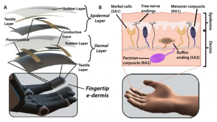 통증센서(표피) 및 촉각센서(진피)를 이용한 피부감각 대체기기 기술(출처: Science Robotics, 2018, 3, 3818)