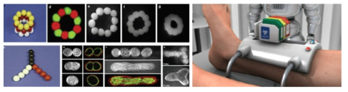 In-situ 3D 프린팅을 통한 세포 프린팅 기술 (출처: 융합연구리뷰, 2017, 3D Bio-printing, Funginstitute, Berkeley, 2013)