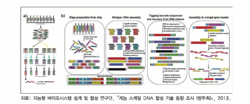 마이크로칩 올리고 및 차세대 시퀀싱을 이용한 유전자합성 모식도