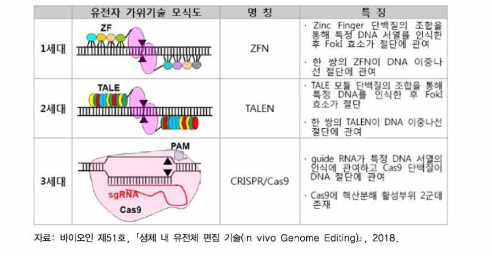 세대별 유전자 편집 기술 모식도