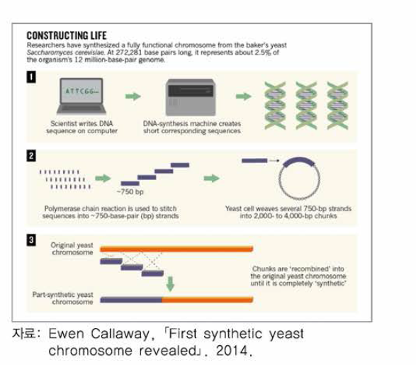화학적 DNA 합성을 통한 전체 유전체 합성 방법 모식도