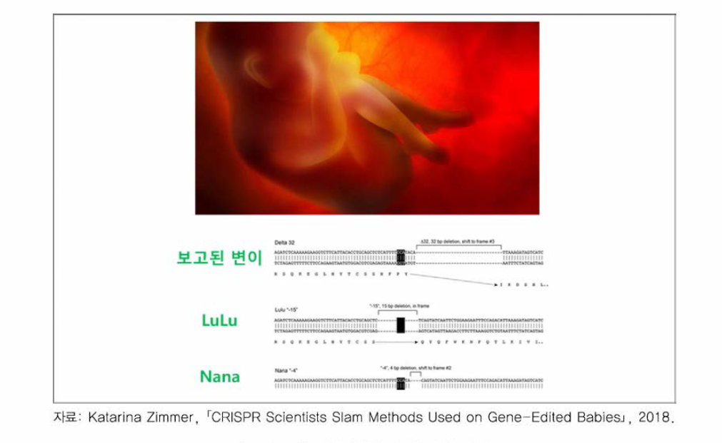 인간배아유전체 편집 결과