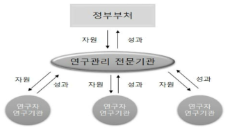 국가연구개발사업의 주인-감시자-대리인 구조