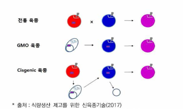 Cisgenic 육종과 다른 육종과의 차이점