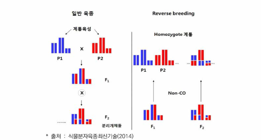 역육종과 일반 육종과의 차이