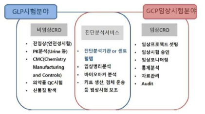 CRO의 주요 기능 및 분류(출처: 보건산업진흥원, 2014)
