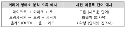 외래어 및 사전 미등록 단어의 예시