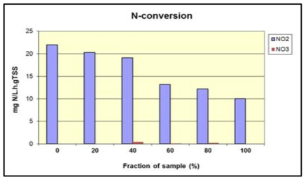 희석비율에 따른 아질산화 반응에 의한 질소전환 속도(H시설 샘플)