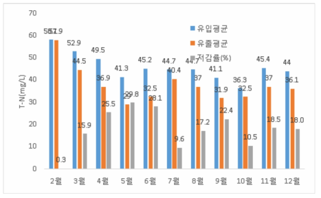 침전/여과시설 T-N 제거효율 평가결과(월간)