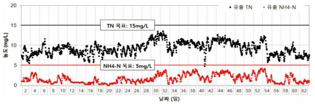 동절기 유출수 TN 및 NH4-N 농도 변화