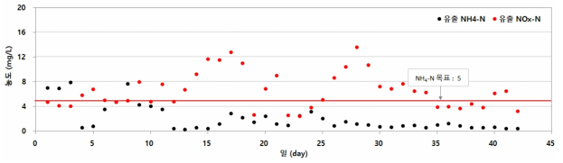동절기 일간 분석 기간 중 유출수 NH4-N 및 NOX-N 농도 거동