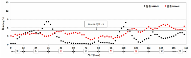 동절기 24시간 분석 기간 중 유출수 NH4-N 및 NOX-N 농도 거동