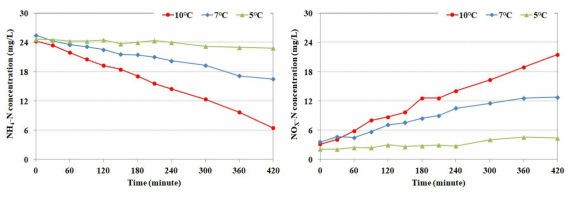 충진율(40%)에서 수온에 따른 질산화 반응 결과