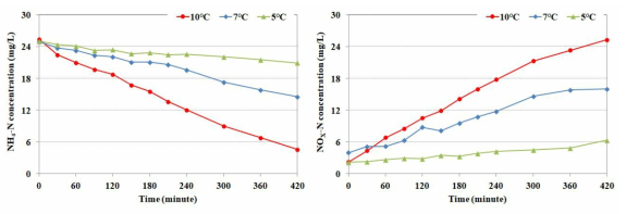 충진율(70%)에서 수온에 따른 질산화 반응 결과