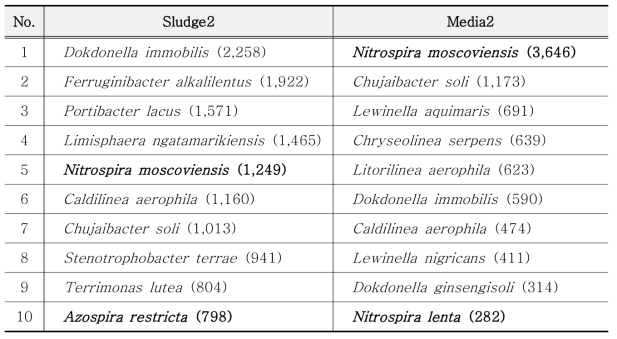 MBBR2조 부유성 및 담체 내 슬러지에서 상위 10종 미생물