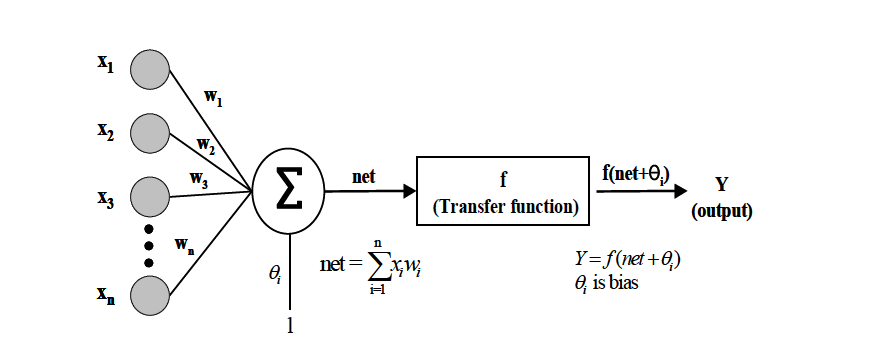 Multi-layer feed-forward back-propagation network에서의 신호전달