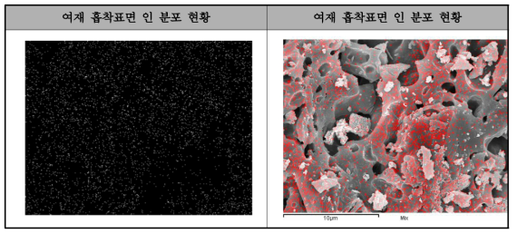 고효율 인흡착 여재의 인 제거 실험 후 흡착표면 인 원소분포 현황