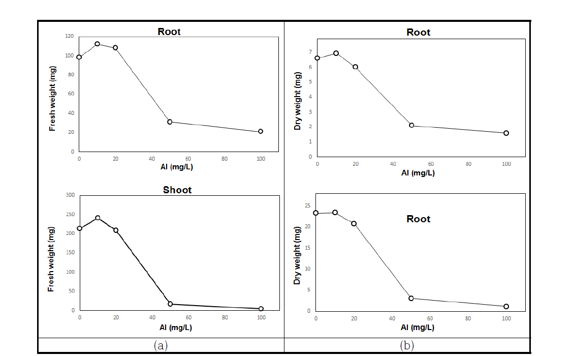 알루미늄 이온(Al3+) 농도에 따른 식물줄기와 뿌리의 무게 변화