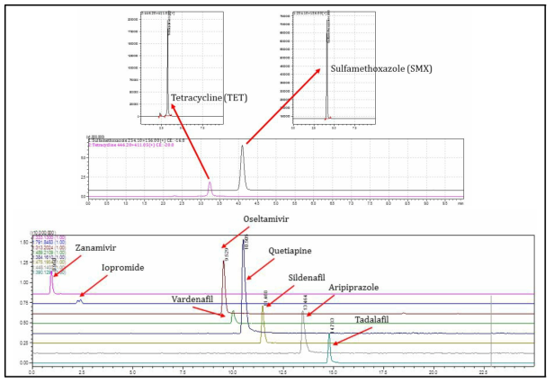 대상물질의 MS/MS Total Ion Chromatogram (TIC)