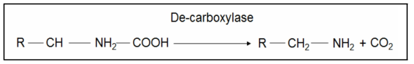 미생물에 의한 carboxylic acid 분해