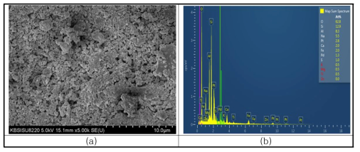 A 여재의 표면 특성 평가 (a) SEM, (b) EDX 분석 결과