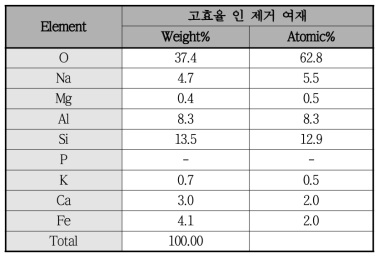 여재의 표면 특성 평가 (EDX 분석 결과)