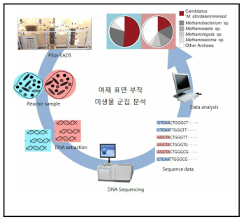 미생물 군집 분석 방법론