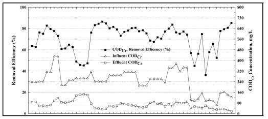 CODcr 제거 효율 변화
