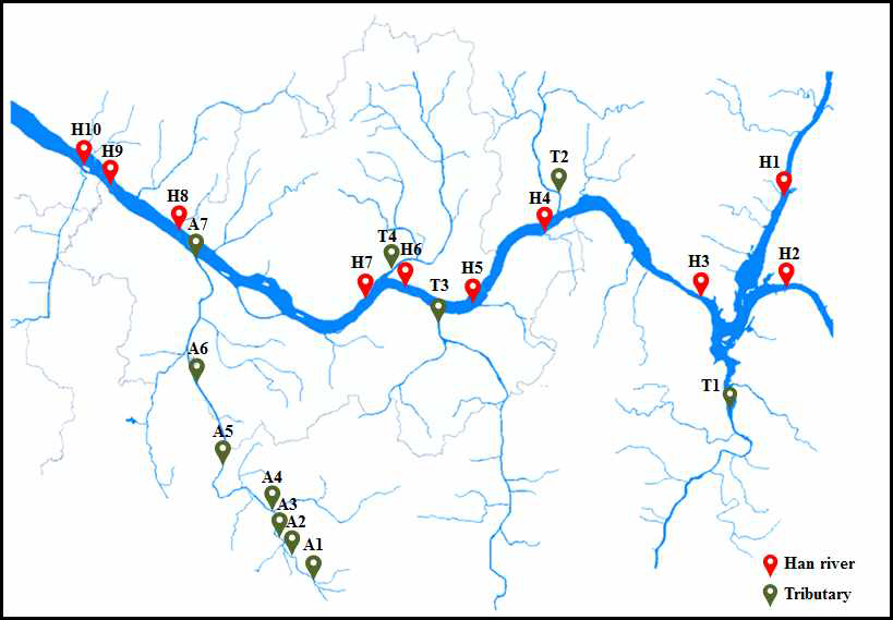 Location of 19 sampling sites in Han river and its tributaries