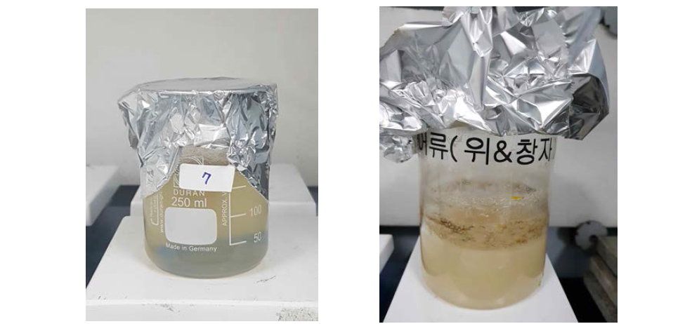 Removing organic matter using H2O2(left) for water sample and KOH (right) for fish