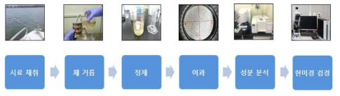 Analytical procedure to determine microplastics in freshwater