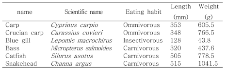 Basic information of fish used in this study