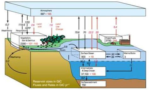 전지구 차원에서의 탄소 순환 모의 (출처: http://www.gfdl.noaa.gov/anthropogenic-carbon-cycle)