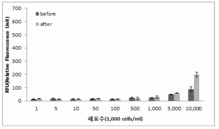 Microcystis aeruginosa 세포 수에 따른 초음파 처리 전후의 피코시아닌 형광도