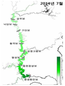 14년 상주보와 창녕함안보의 조류분포