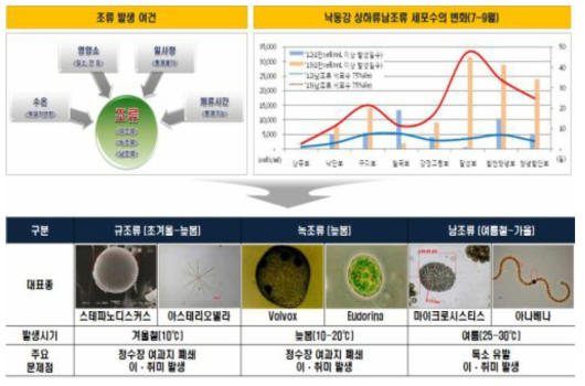 조류발생 현황 및 수계영향