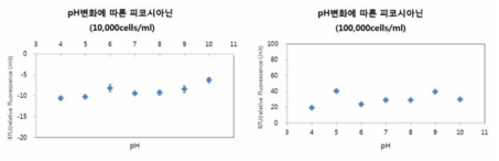 Anabaena affinis(10,000, 100,000 cells/ml) 의 pH 변화에 따른 피코시아닌 형광도