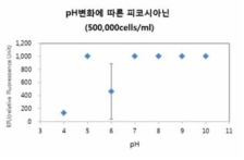 Anabaena affinis(500,000 cells/ml)의 pH 변화에 따른 피코시아닌 형광도